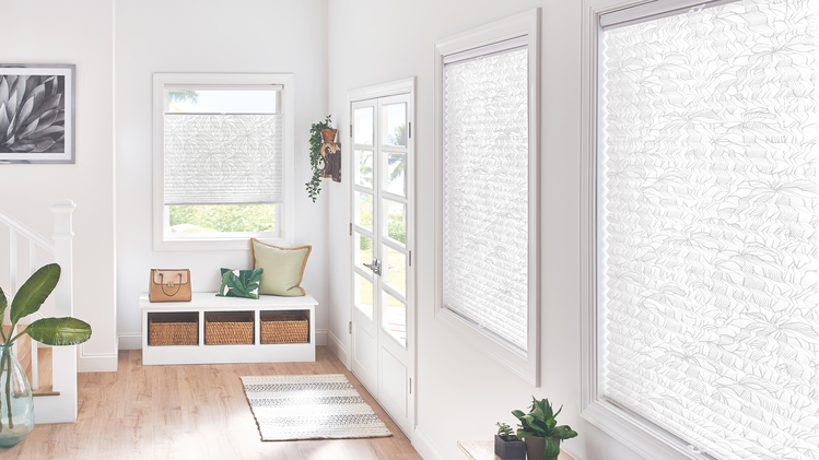 Blinds in a white room with plants. 